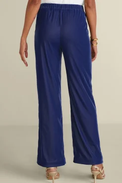 New Aria Velvet Wide Leg Pants Pants