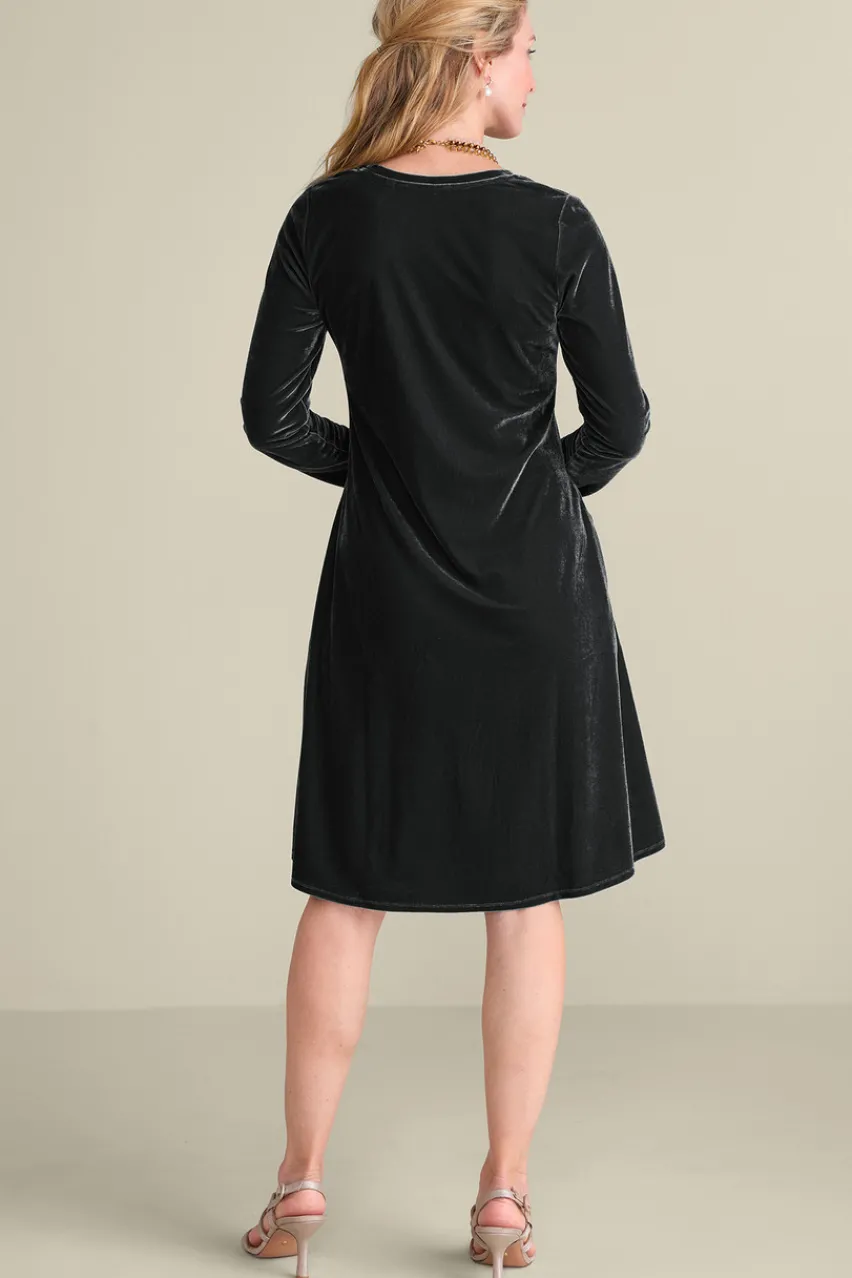 Hot Short Santiago Velvet Dress Dresses