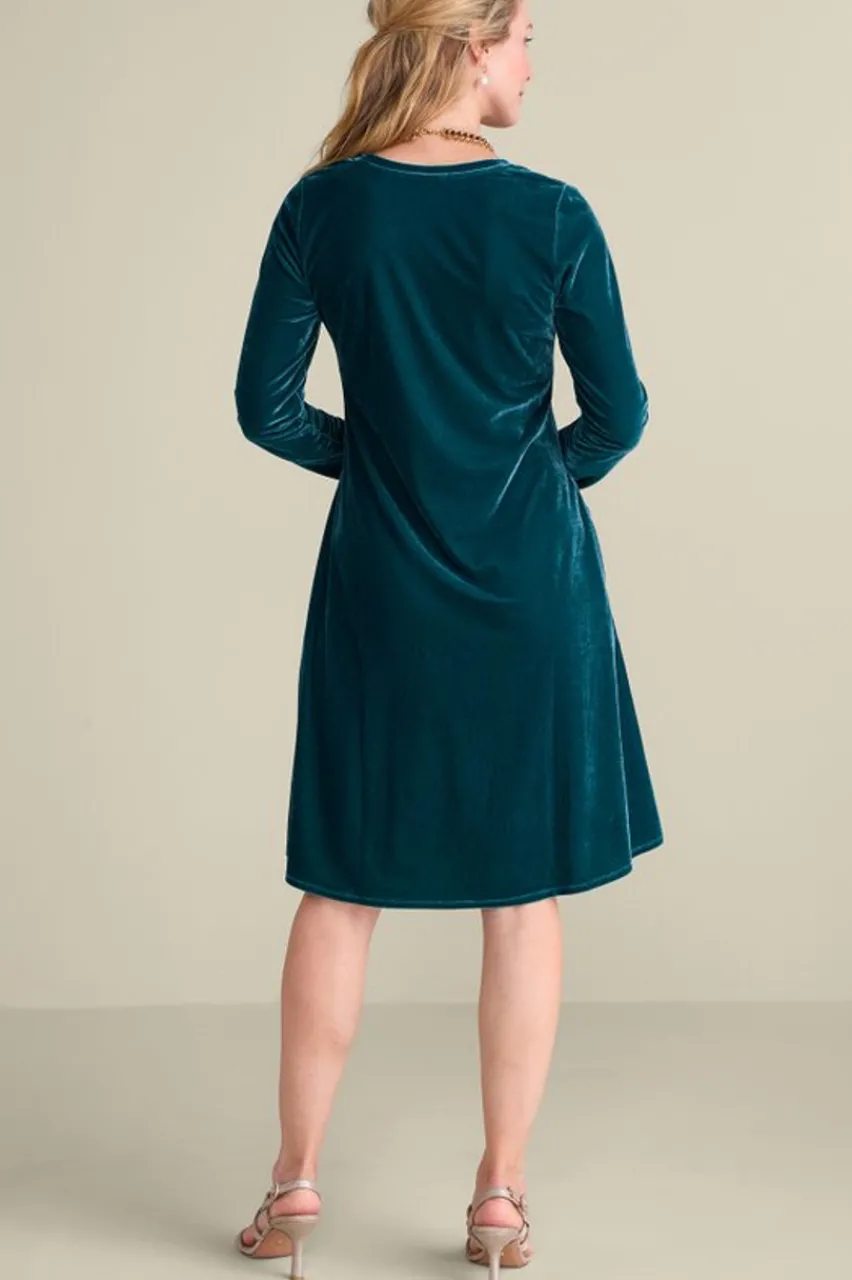 Hot Short Santiago Velvet Dress Dresses