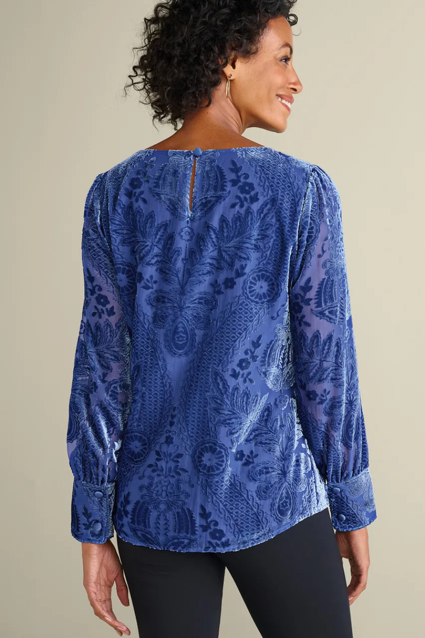 Clearance Vanetta Velvet Top Tops